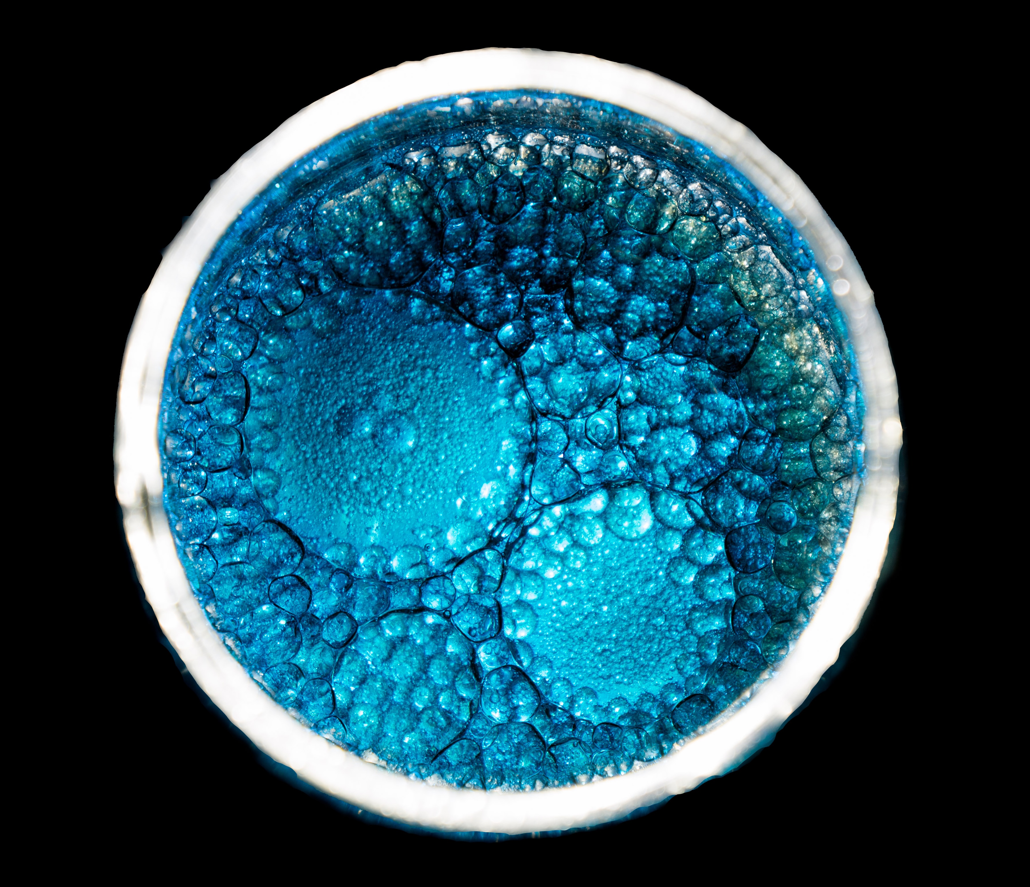 Close up of a embryo