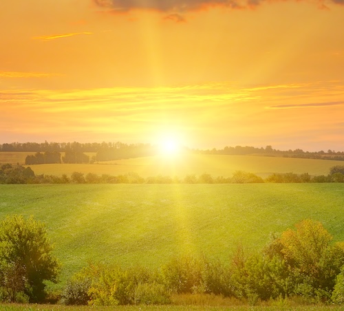 Evening sunset over hills and trees