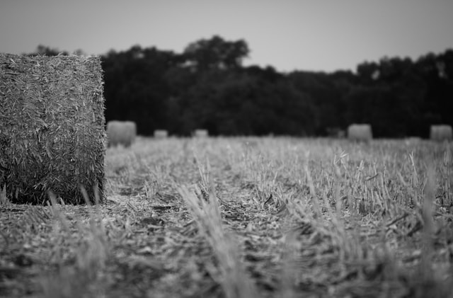 What Creditors Need to Know About Chapter 12 “Family Farmer” Bankruptcy