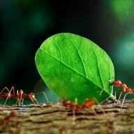 Learn More About Municipal Law